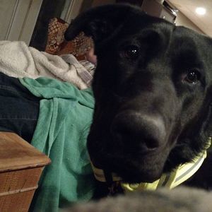 Meet your Posher, Andrew